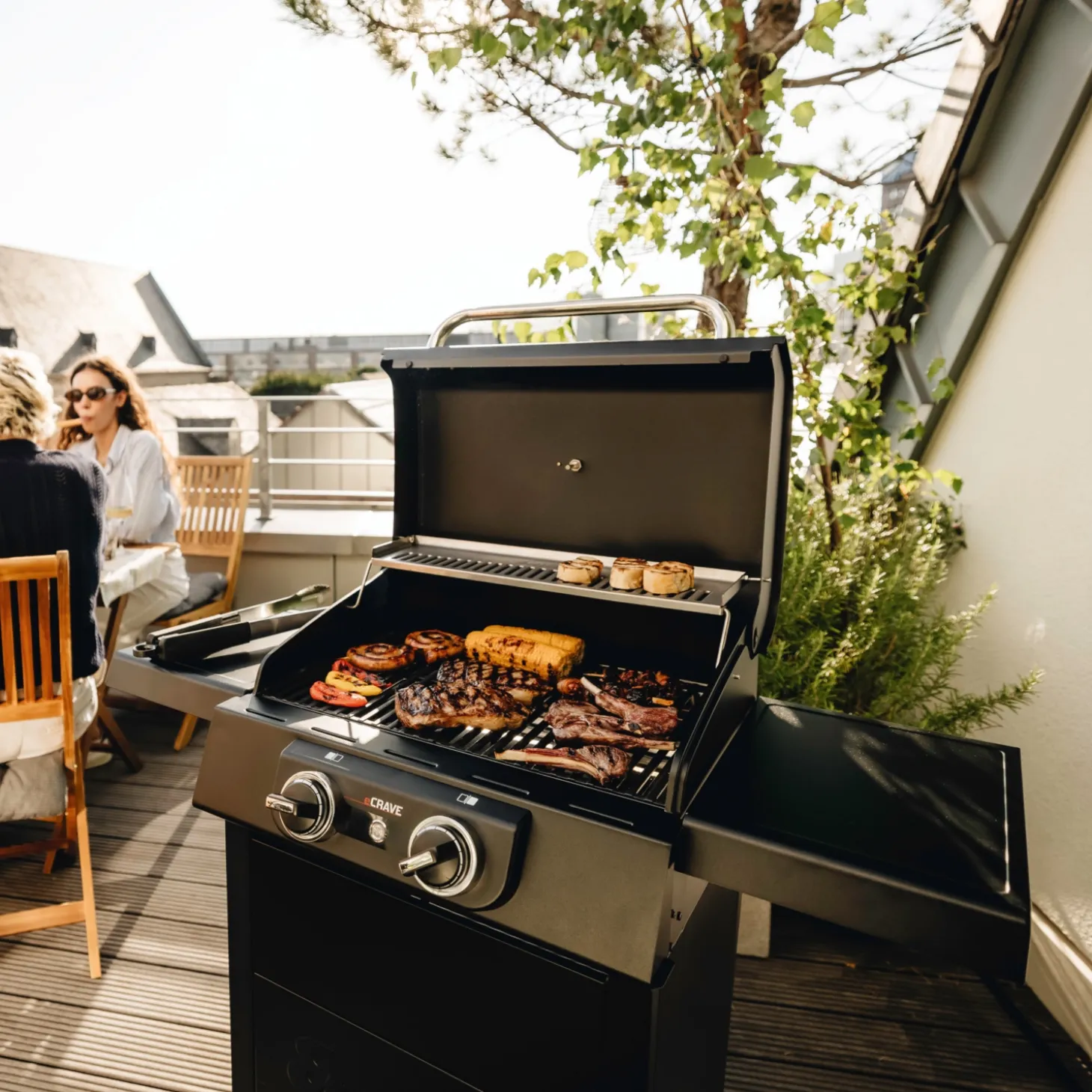 ENDERS Elektrogrill eCrave® 2