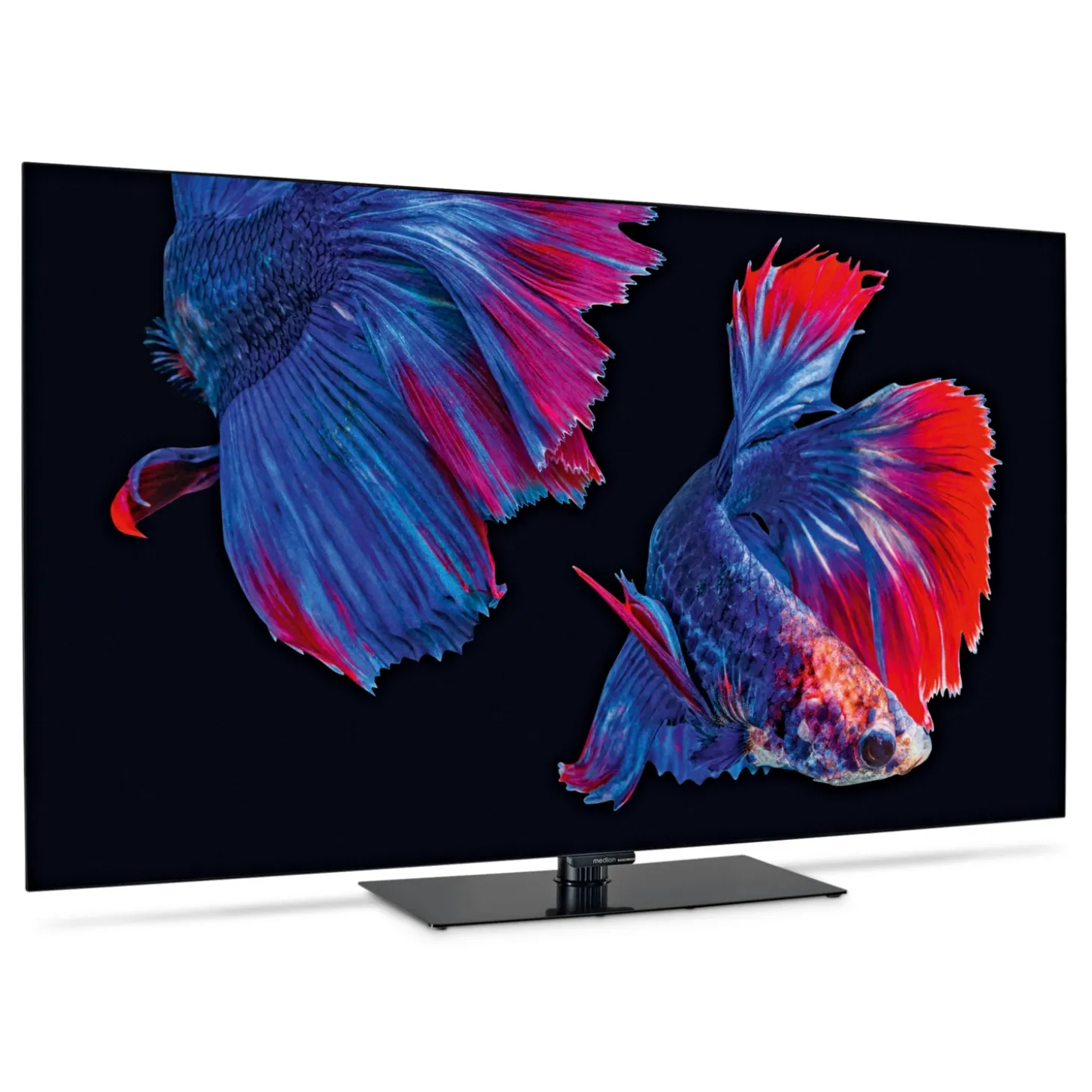 MEDION 65" (163,9cm) OLED UHD TiVo Smart TV X8652508 (MD865901)