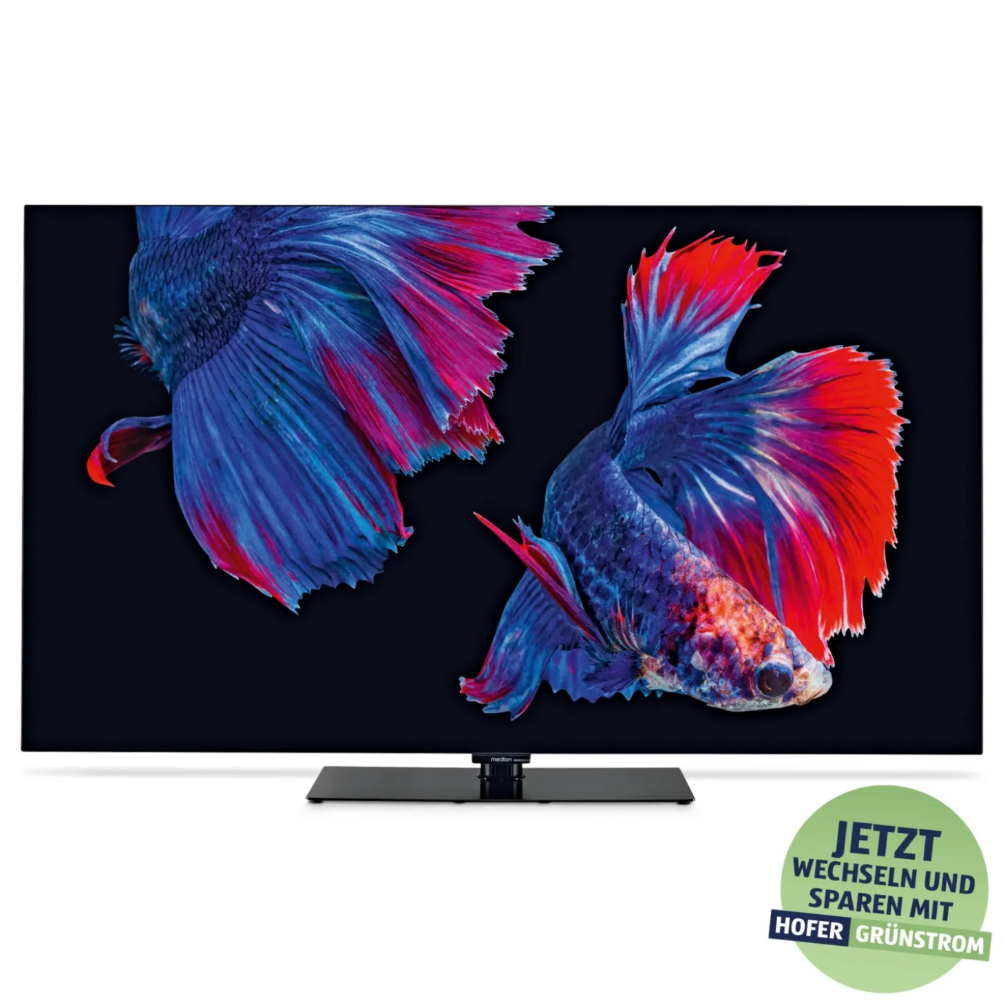 MEDION 65" (163,9cm) OLED UHD TiVo Smart TV X8652508 (MD865901)