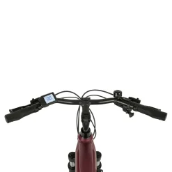 PROPHETE E-Bike Entdecker 2.3 Herren