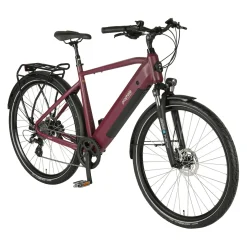 PROPHETE E-Bike Entdecker 2.3 Herren