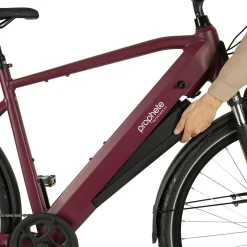 PROPHETE E-Bike Entdecker 2.3 Herren
