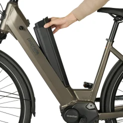 PROPHETE E-Bike Geniesser 3.3